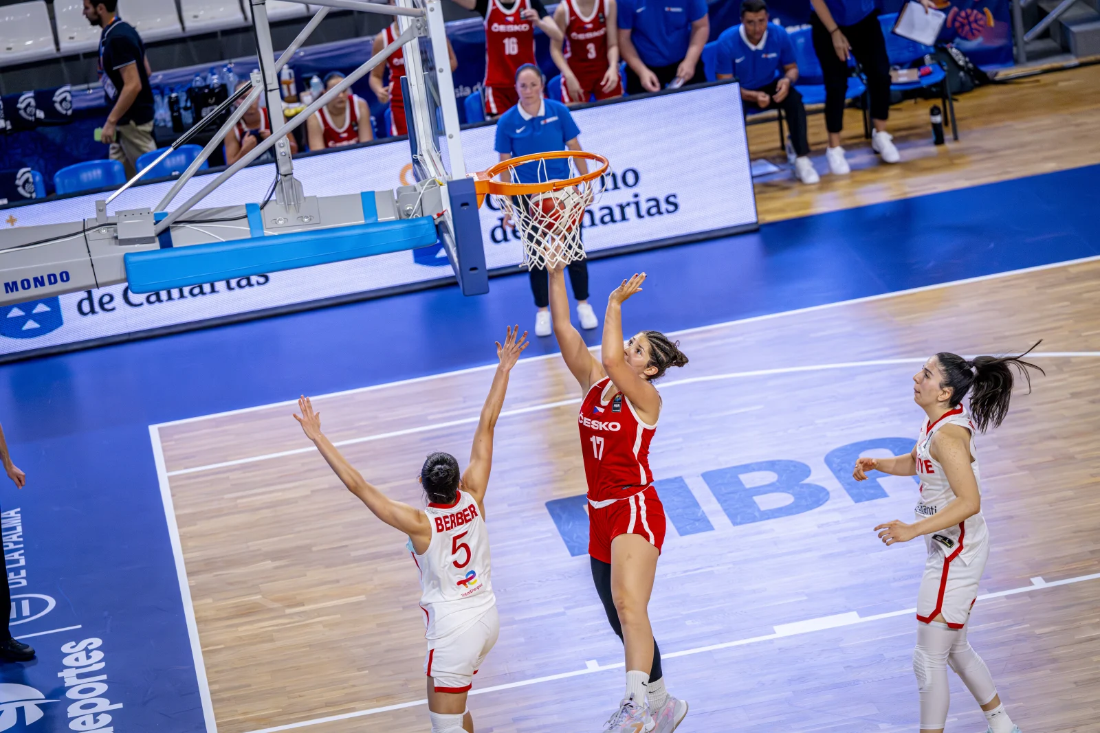 Zdroj: FIBA